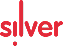Silver Leather